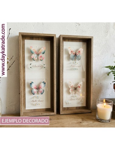 Cuadros Mariposas ctangulares con metacrilato y UV