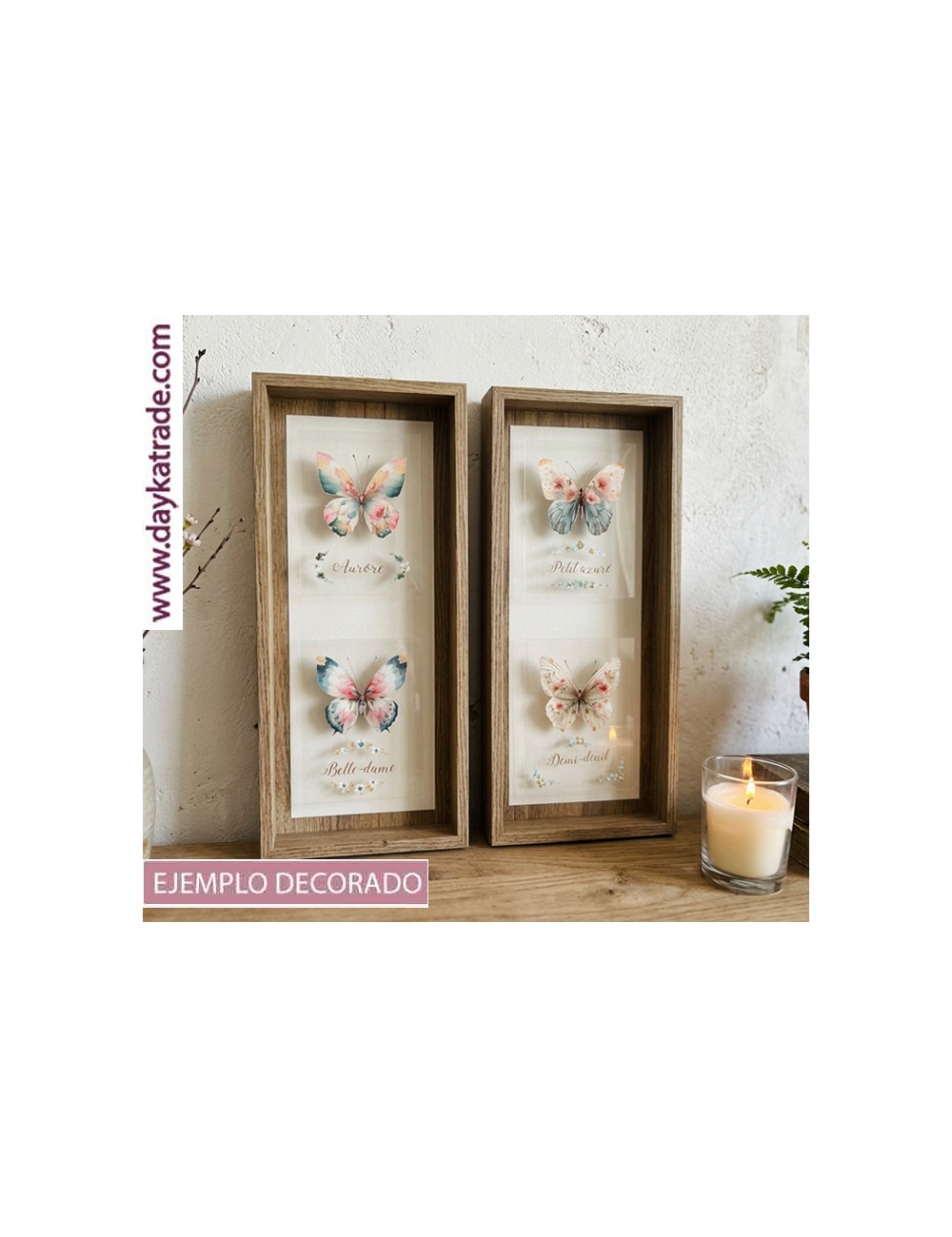 Cuadros Mariposas ctangulares con metacrilato y UV