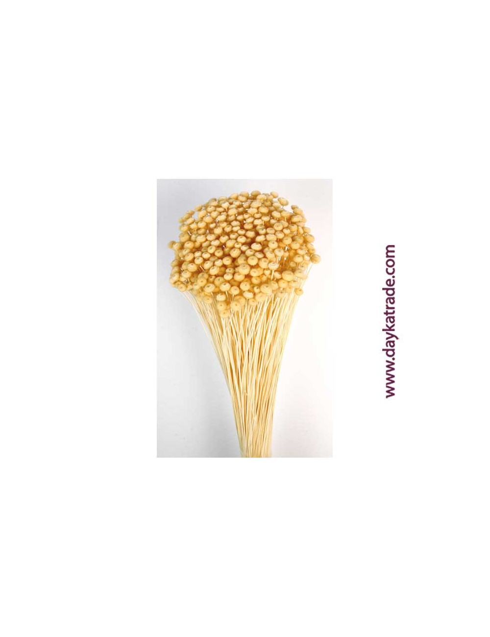 Amarelinho Amarillo