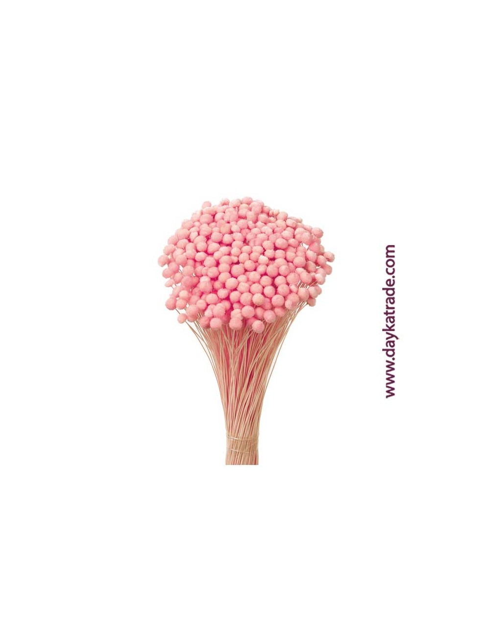 Amarelinho rosa
