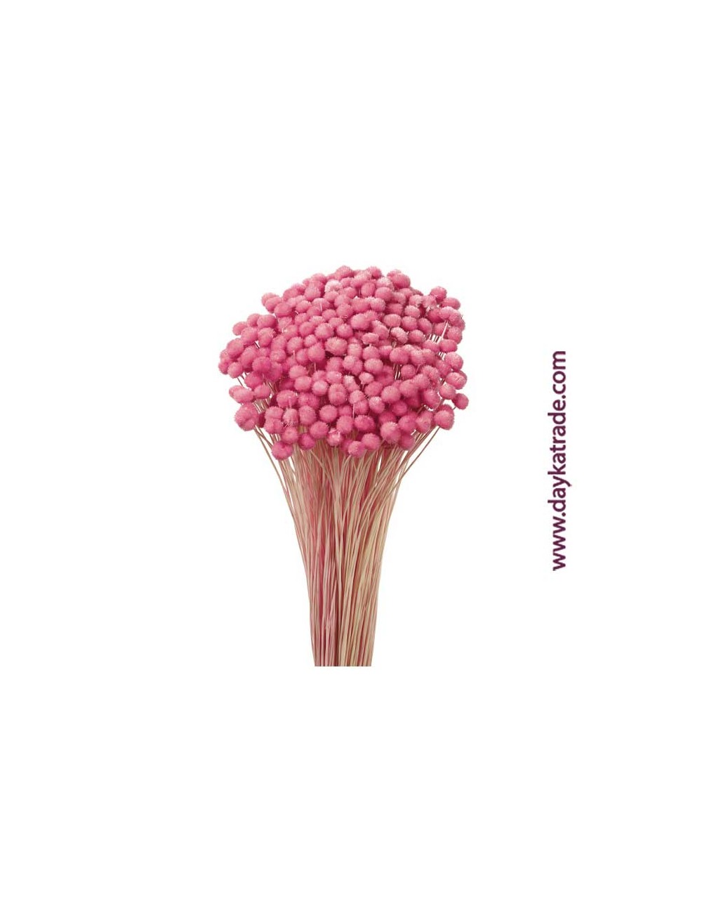 Amarelinho rosa vintage