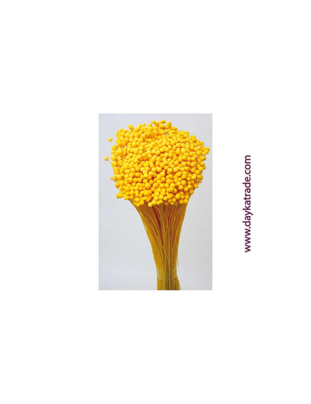 Boton mini amarillo