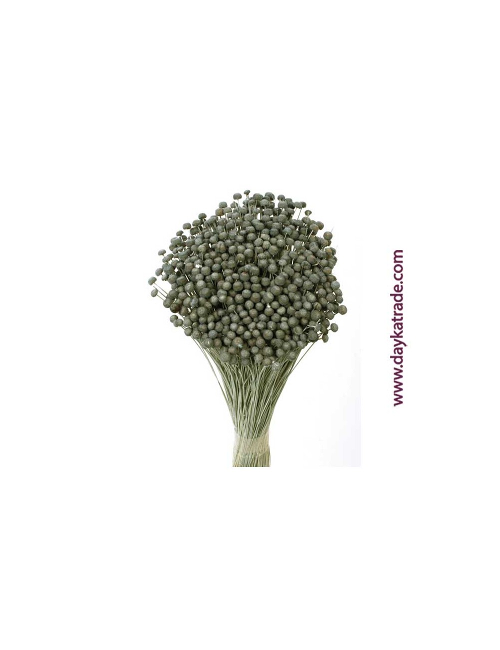 Boton mini gris