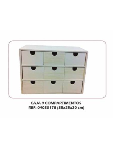 Caja 9 compartimentos