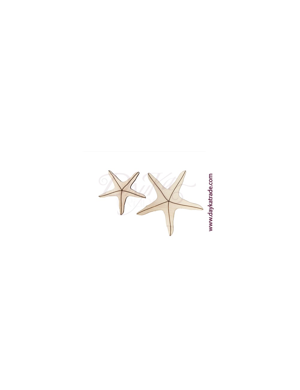 Estrellas de mar set de dos