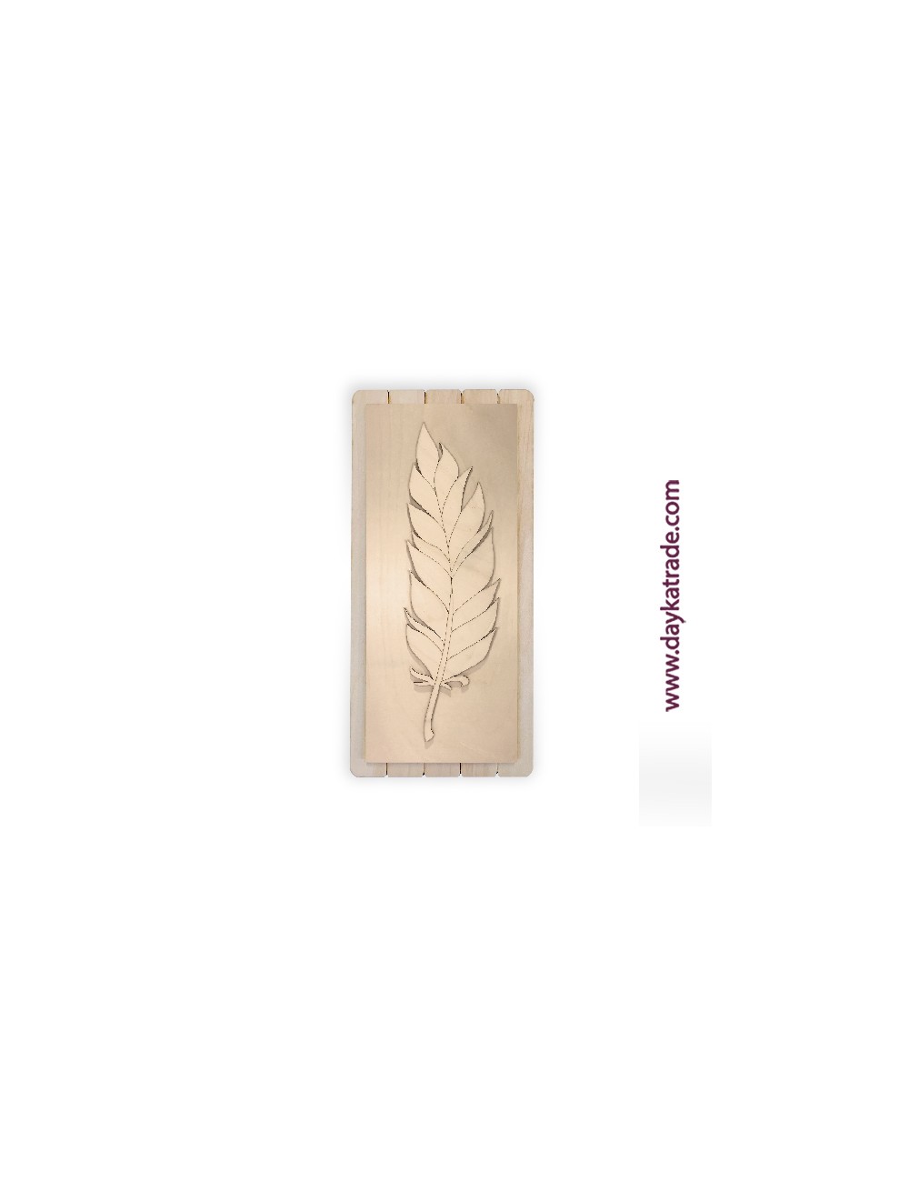 Cuadro pluma ii