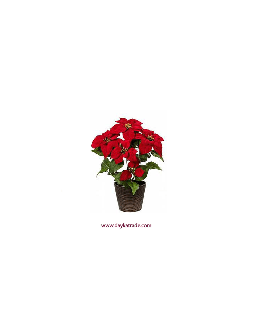 Flor de pascua velvet en maceta rojo 48 cm.