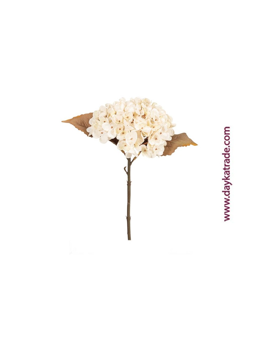 hortensia seca marfil 34cm