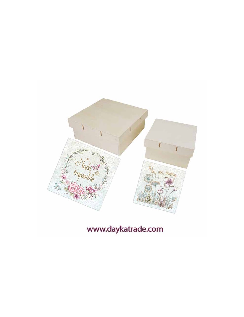 Kit 2 cajas lazo con prediseñados "nada es imposible"