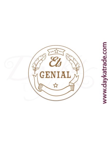 Mensaje "ets genial"
