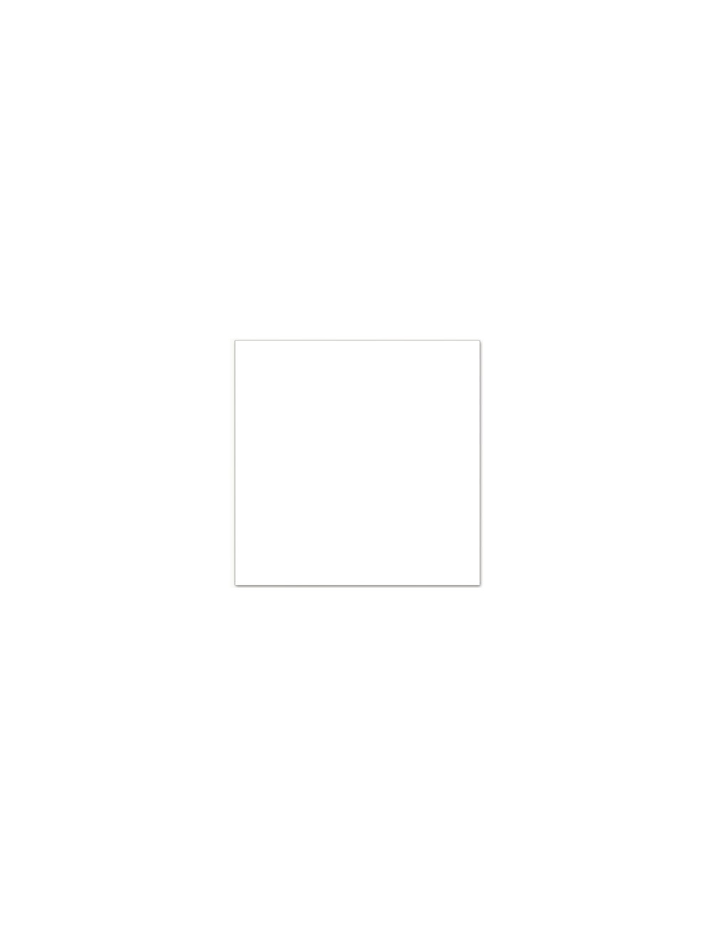 papel scrap liso blanco