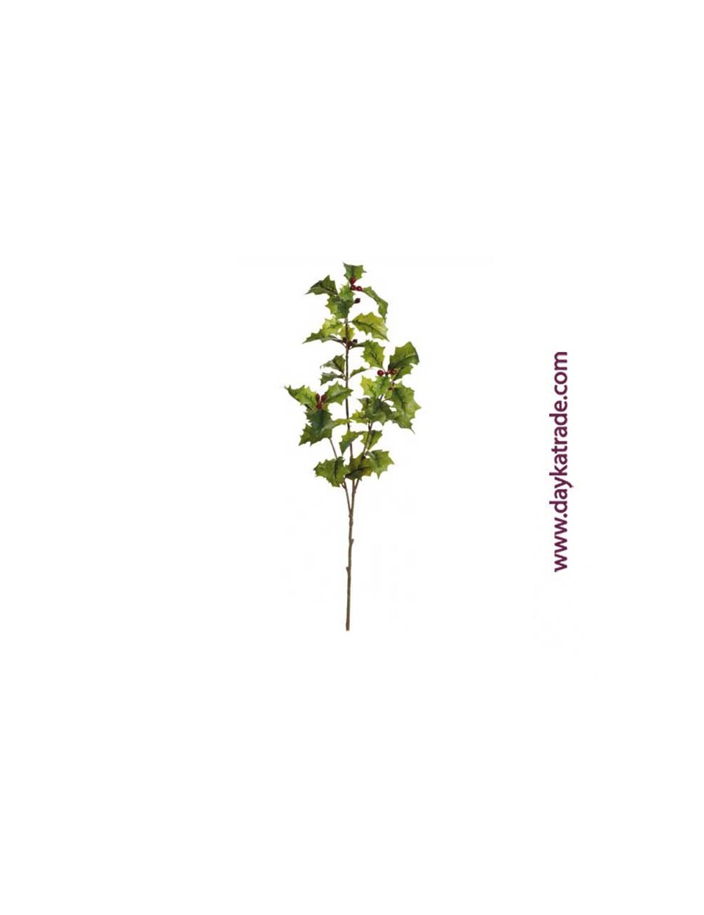 rama de ilex