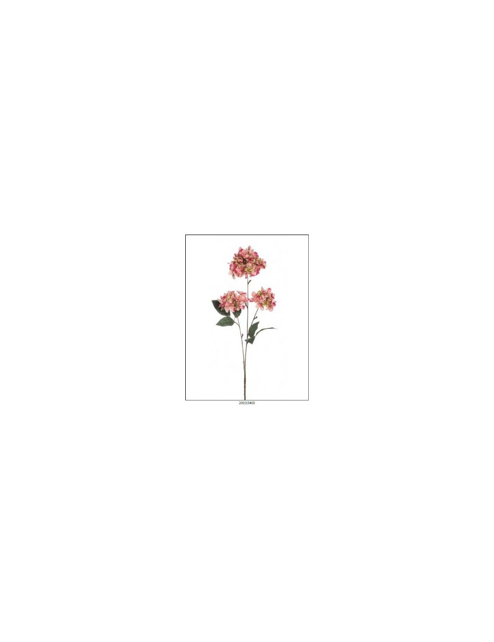 rama hortensia rosa
