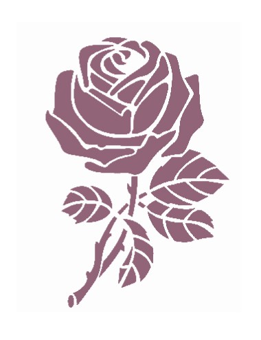 stencil A5 dayka