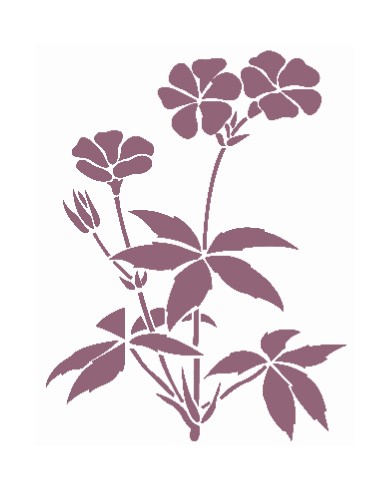stencil A5 dayka