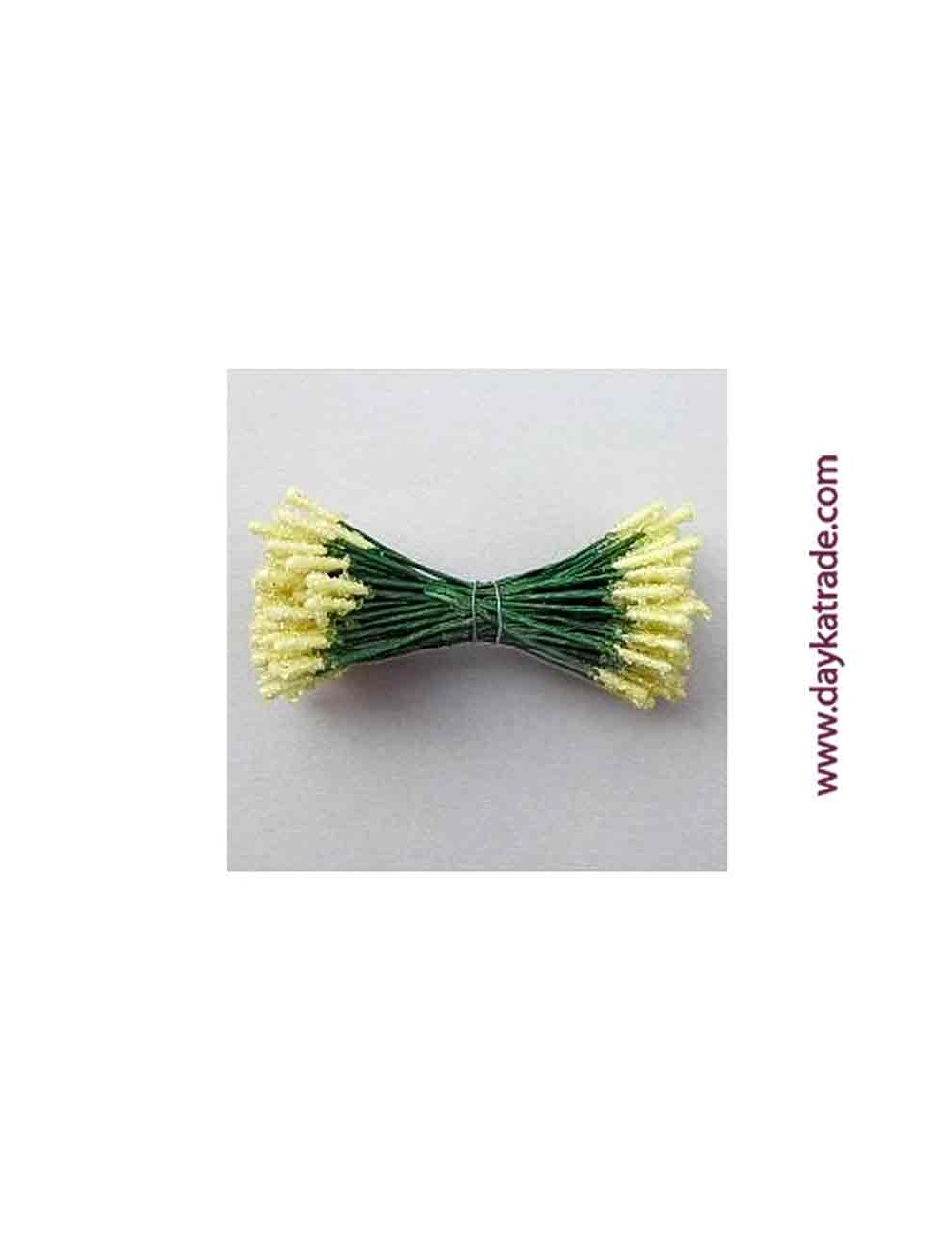 Pistilo doble paper champan