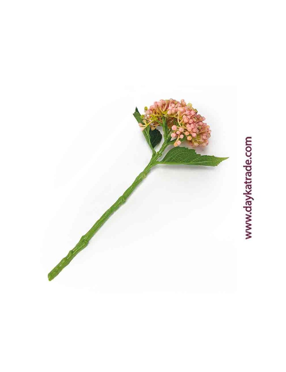 Capullo de hortensia rosa