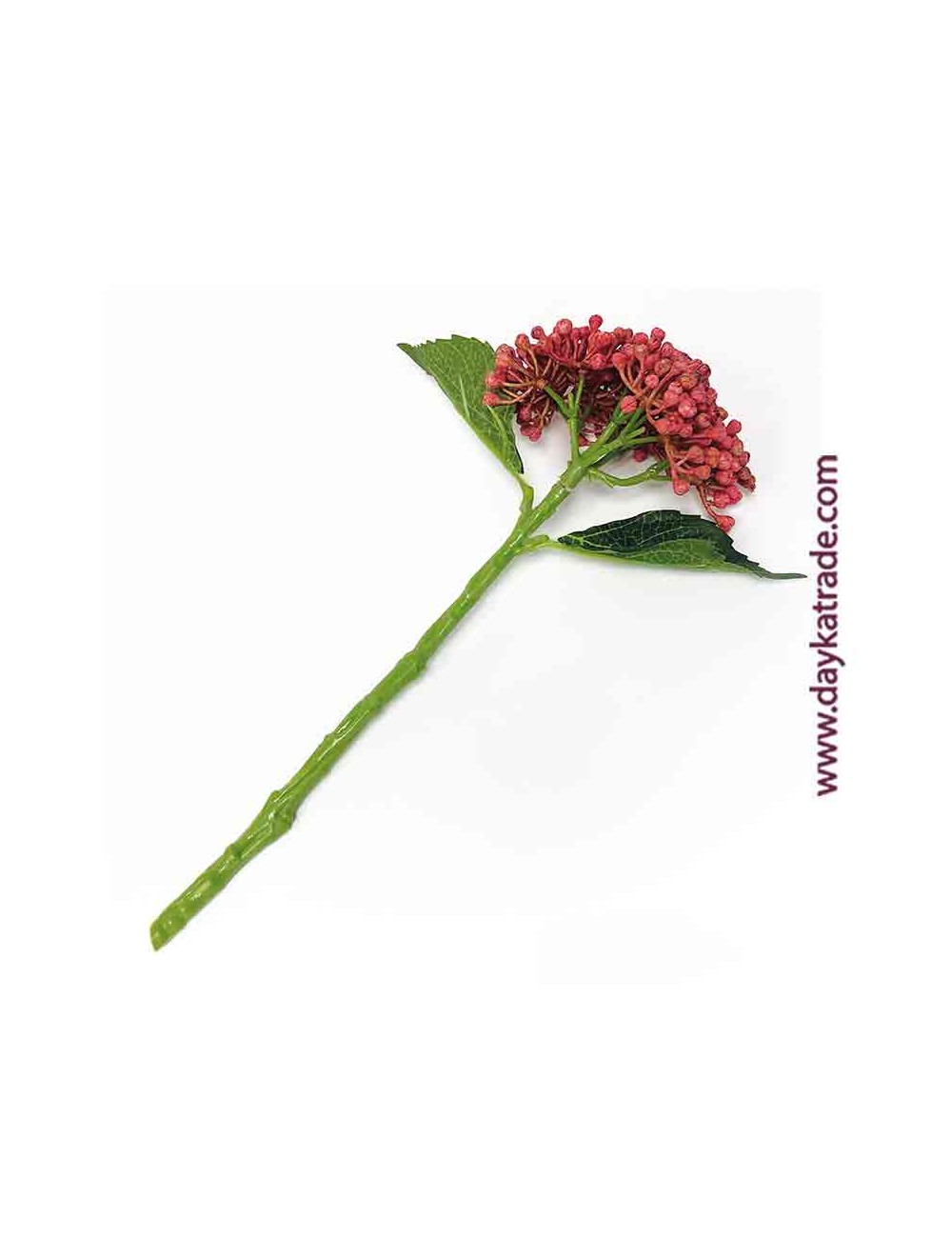 Capullo de hortensia cerezo