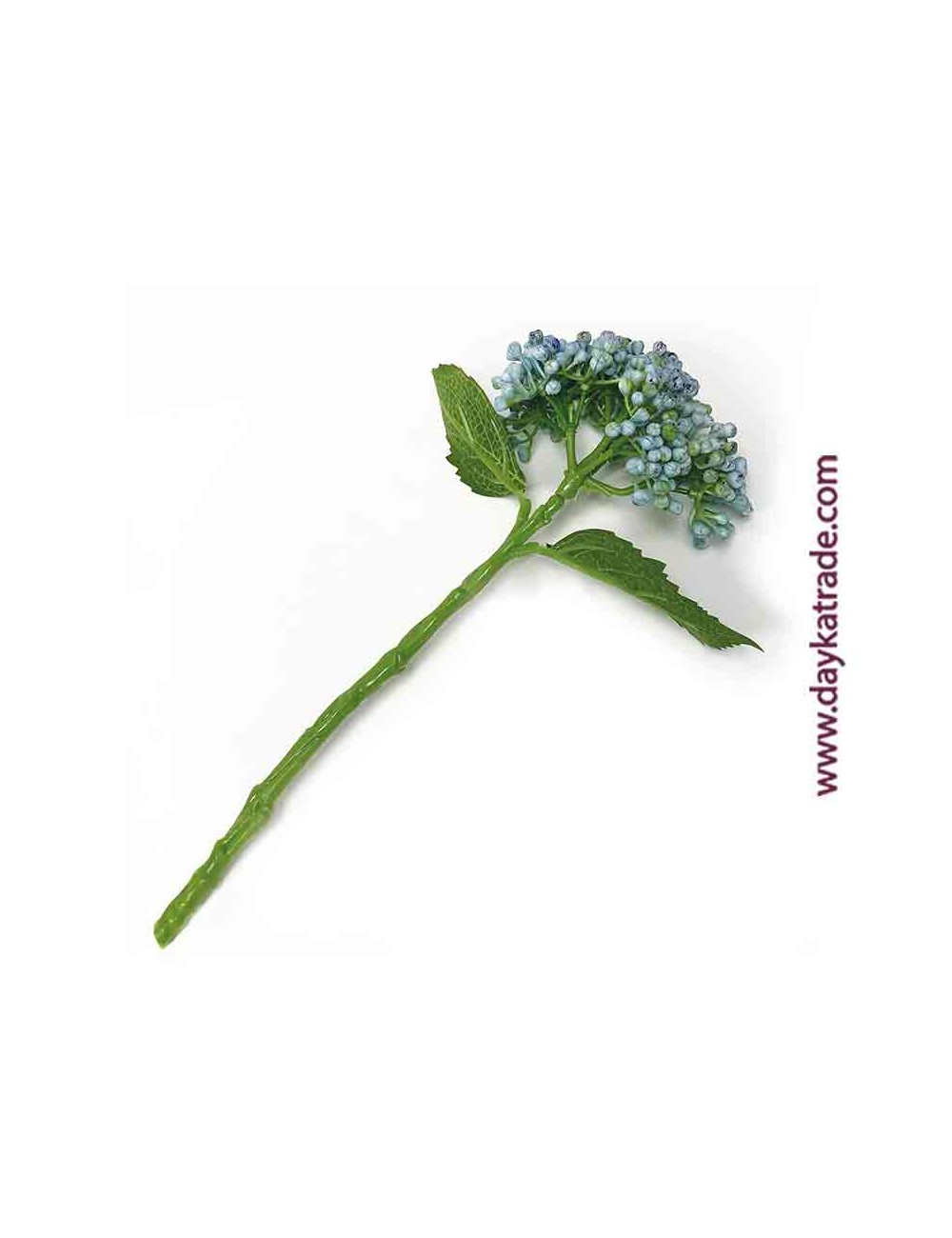 Capullo de hortensia azul