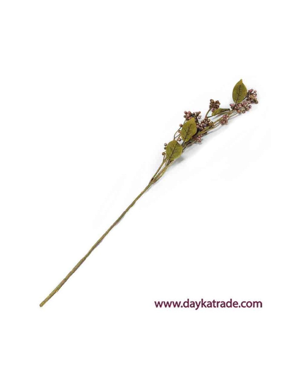 Rama de bayas aronia rosa