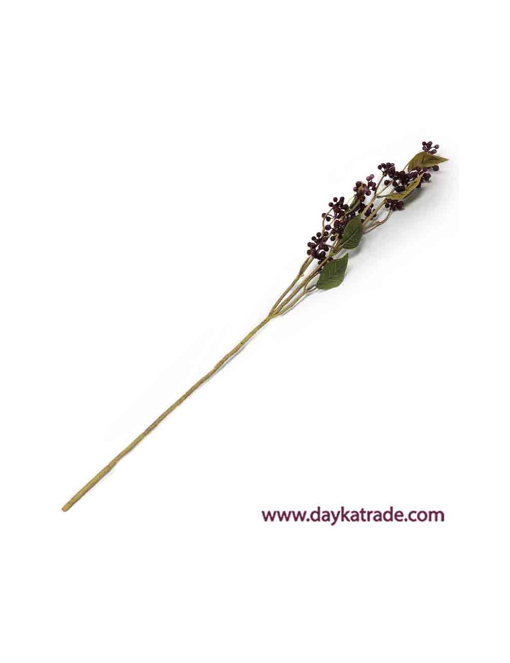 Rama de bayas aronia burdeos