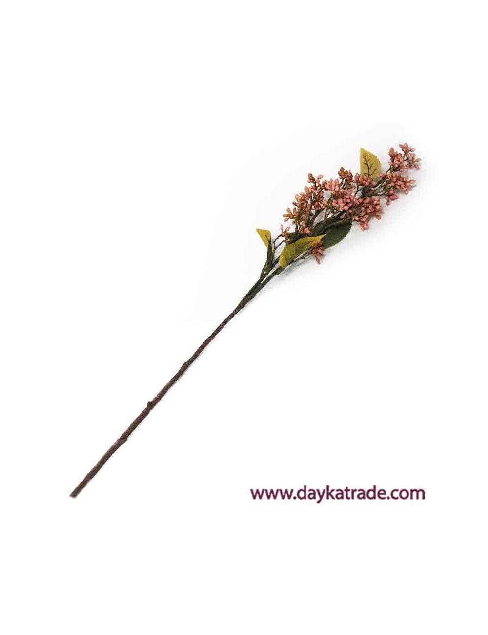 Rama de viburnum rosa