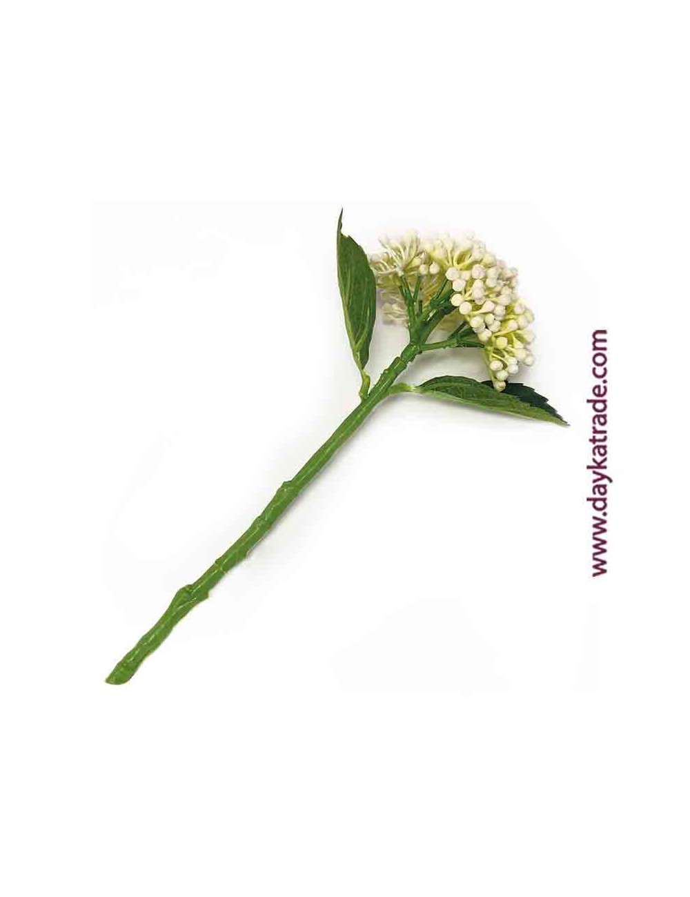 Capullo de hortensia blanco
